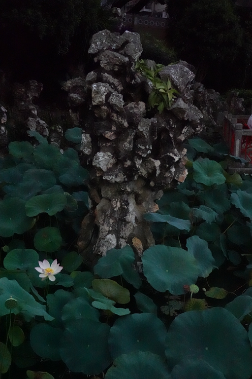 盧廉若公園的假山石。人民網(wǎng) 唐佳 攝